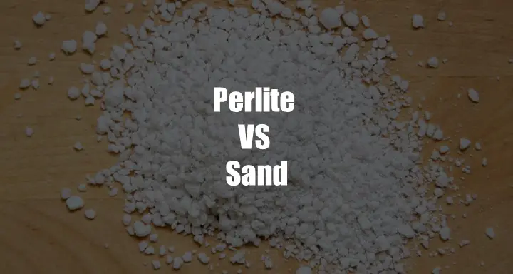 Perlite VS Sand