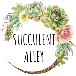 Succulent-Alley-Logo