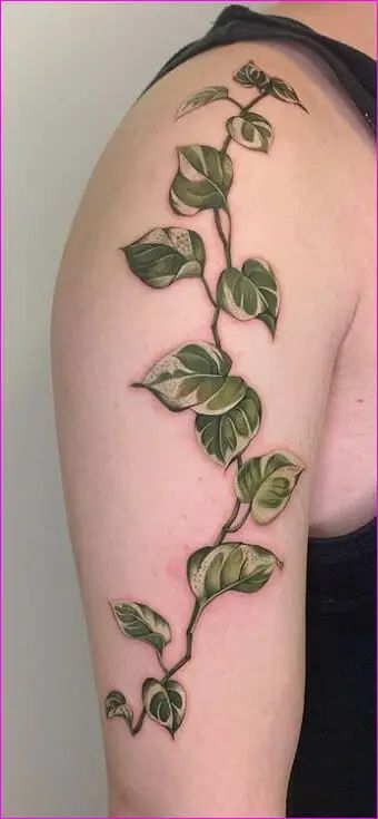 Single Pothos Vine Tattoo