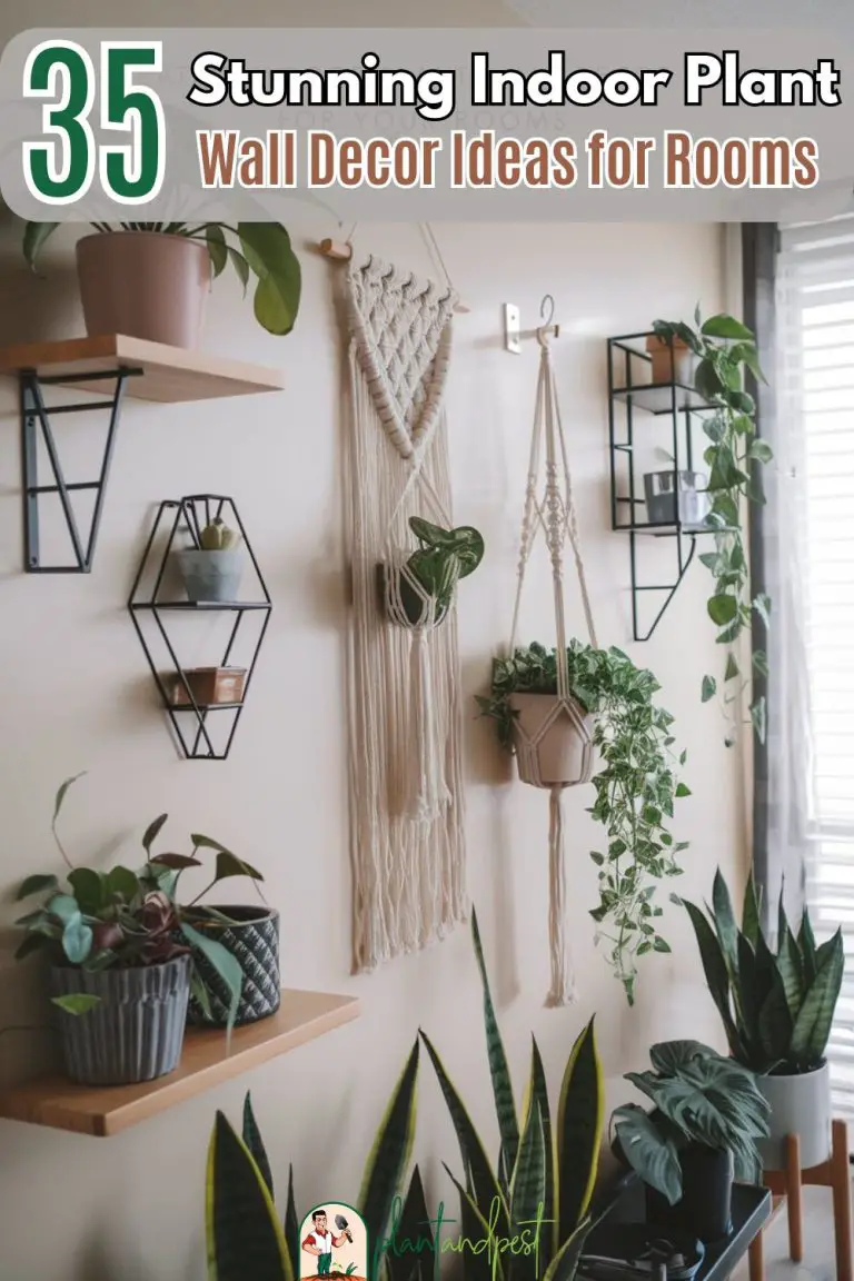 Indoor Plant Wall Decor Ideas