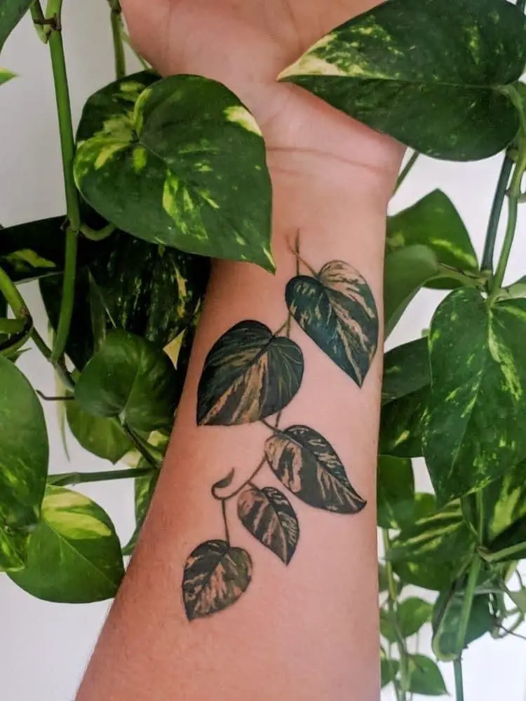 Minimalist Pothos Tattoo