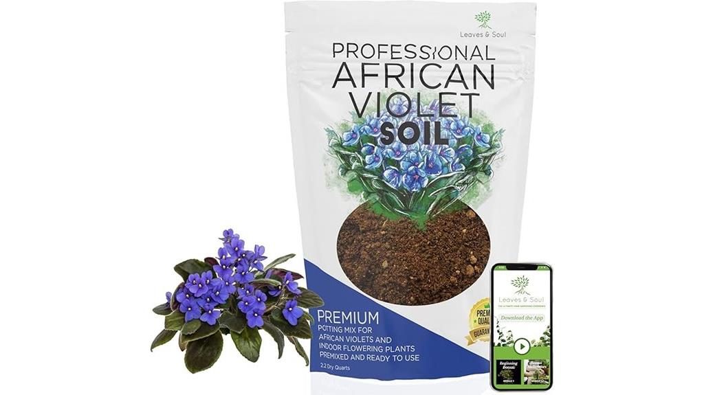 african violet soil quantity