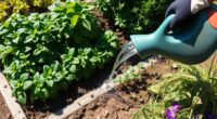 avoiding beginner gardening errors