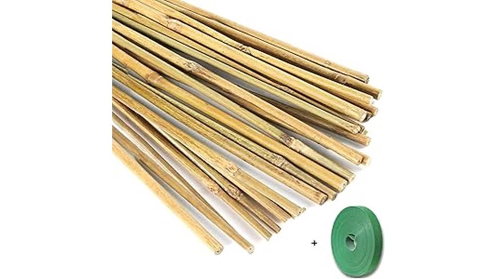 bamboo garden plant supports