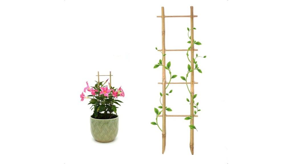 bamboo plant support set