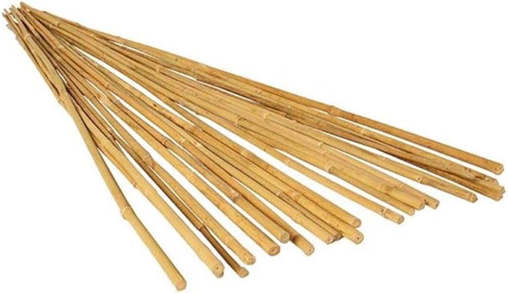 bamboo stakes pack of 25