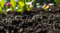 beneficial nematodes protect gardens