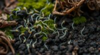 beneficial nematodes protect gardens