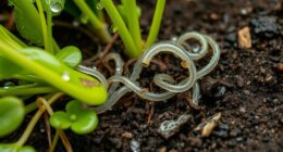 beneficial nematodes protect gardens