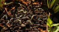 beneficial nematodes protect gardens
