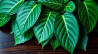 blue pothos leaf variegation