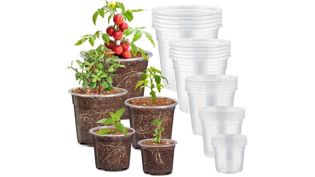 bulk clear plant pots