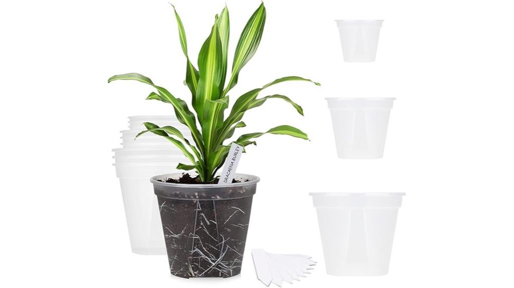 clear plastic plant pots