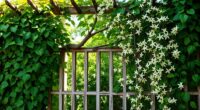 climbing plants comparison guide