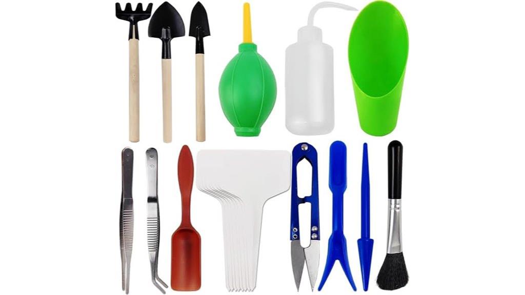 complete succulent gardening kit