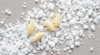 diatomaceous earth insect control