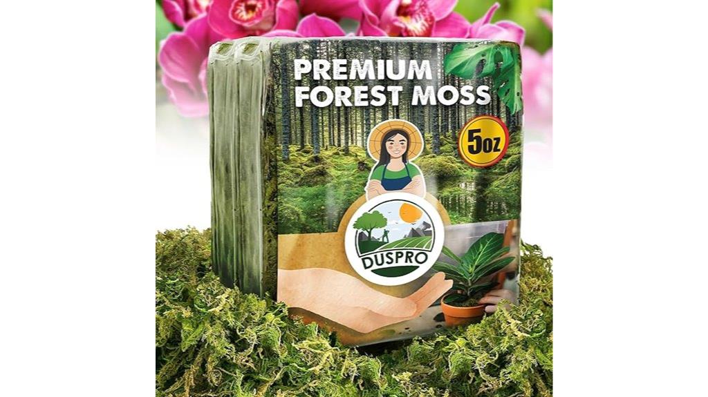 dried moss for pots