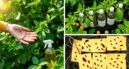 effective natural pest management