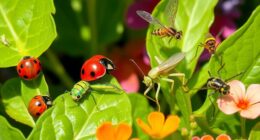 essential helpful garden insects