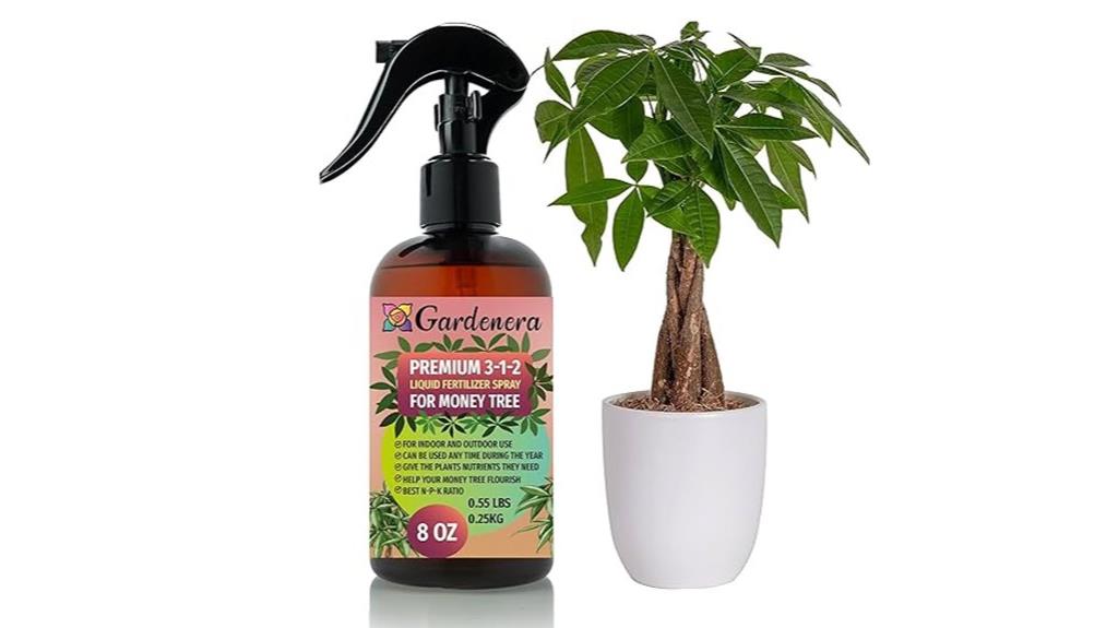 fertilizer spray for money tree