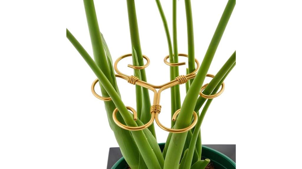 four piece plant support set