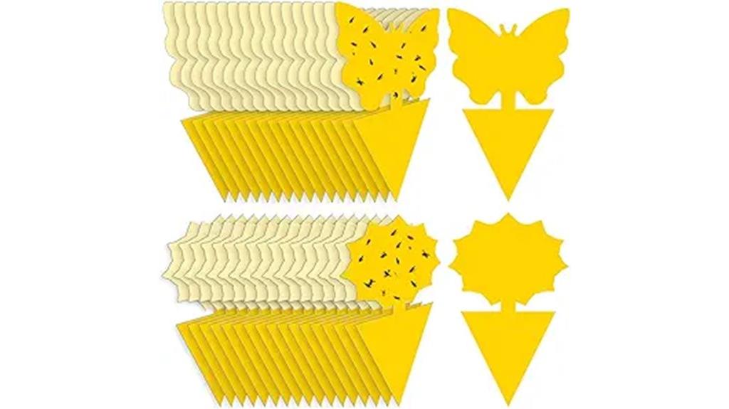 fruit fly and gnat traps