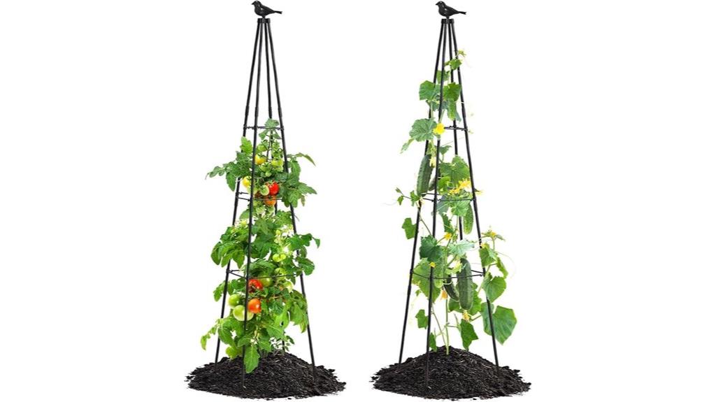 garden support obelisk pack