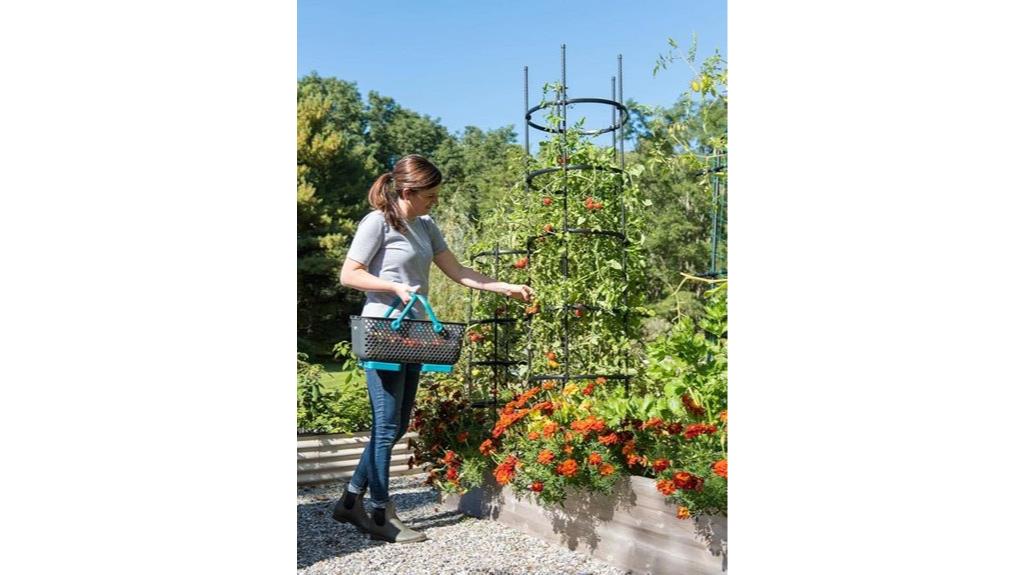 gardeners supply tomato cages