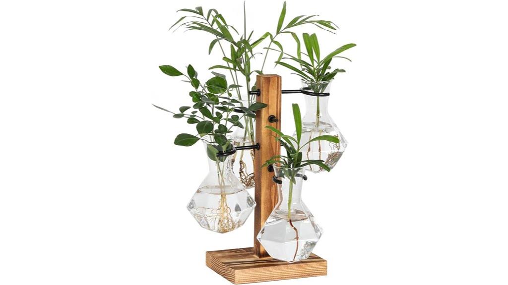 glass vase terrarium kit