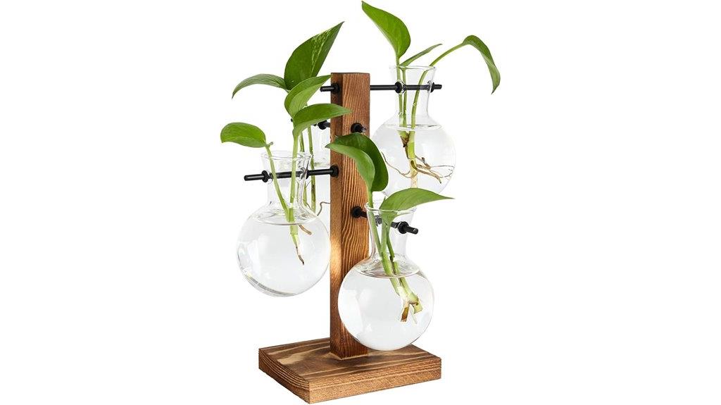 glass vase terrarium kit