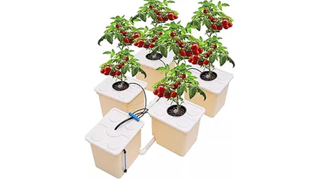 hydroponic bucket garden