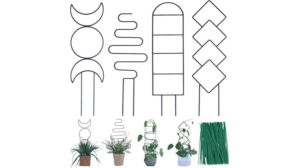 indoor climbing plant supports
