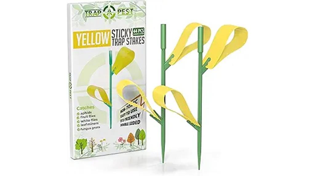 indoor gnat trap stakes