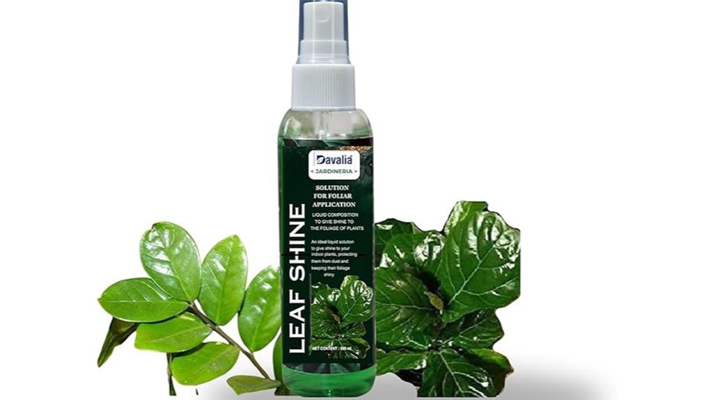 indoor plant leaf shine