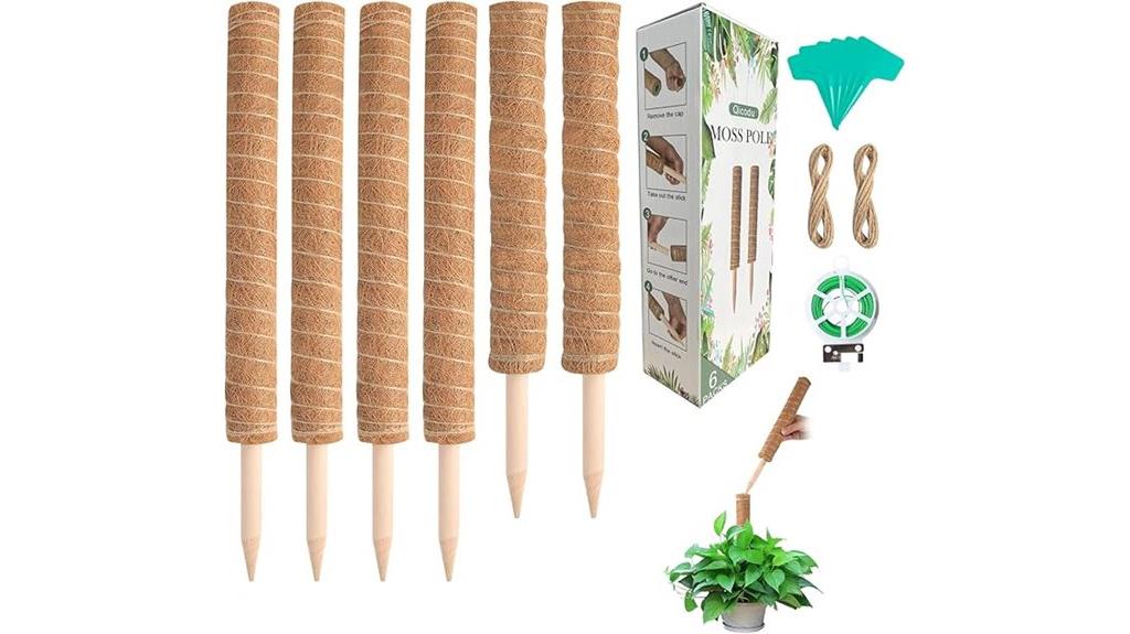 indoor plant moss poles
