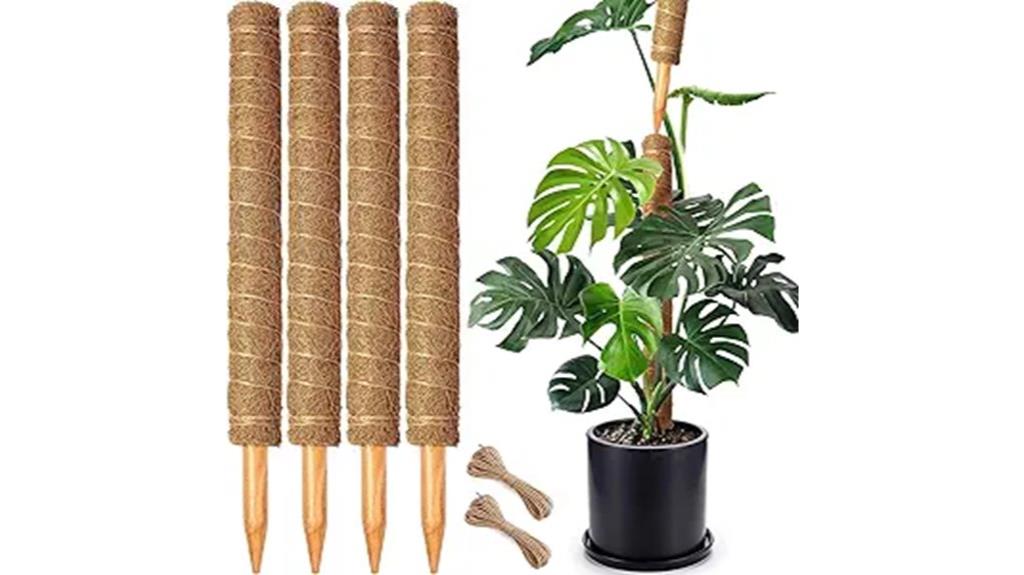 indoor plant moss poles