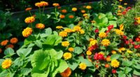 insect repelling plant pairings