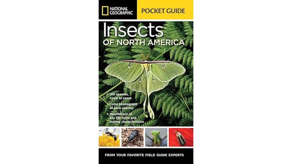 insects of north america