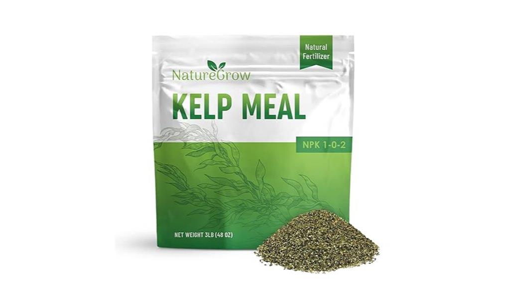 kelp meal natural fertilizer