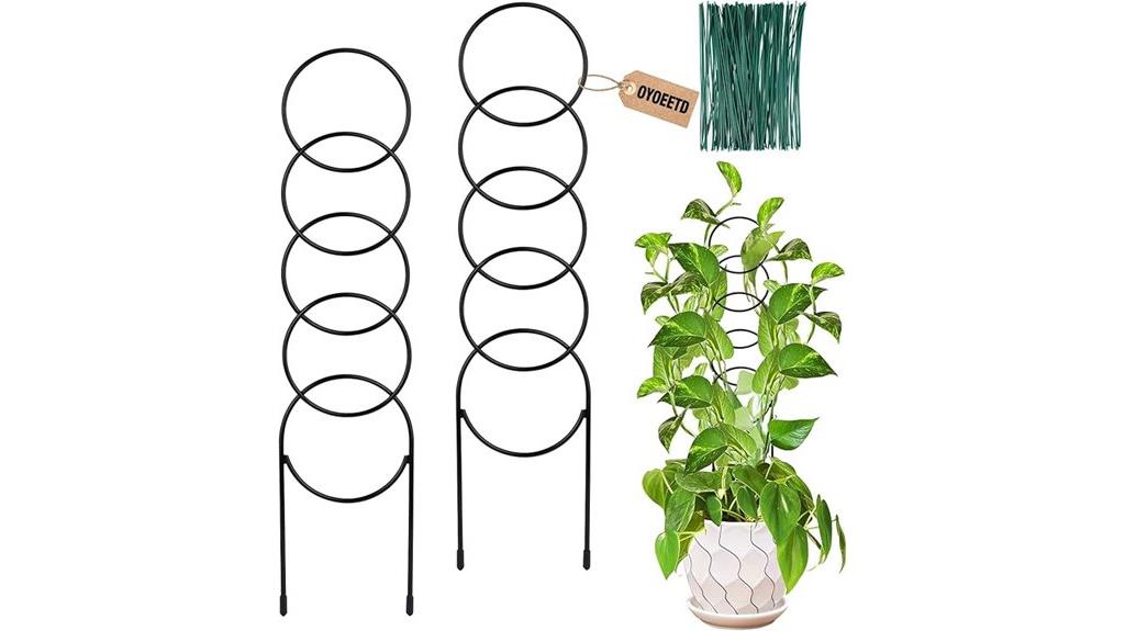 large indoor climbing trellis