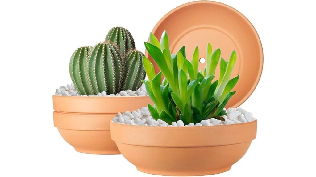 large terra cotta pots
