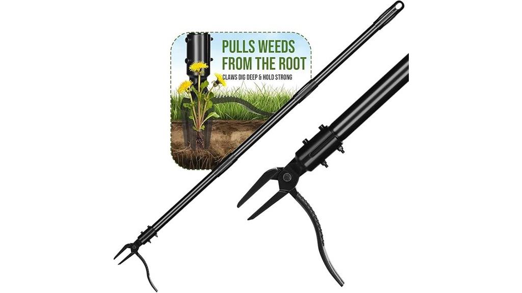 long reach weed remover