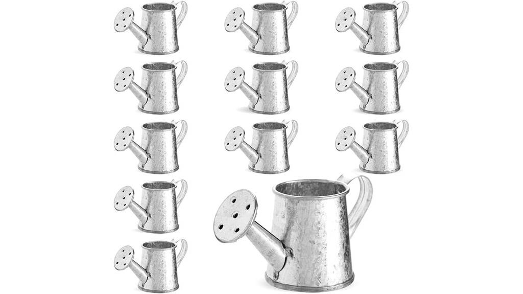 mini galvanized watering cans