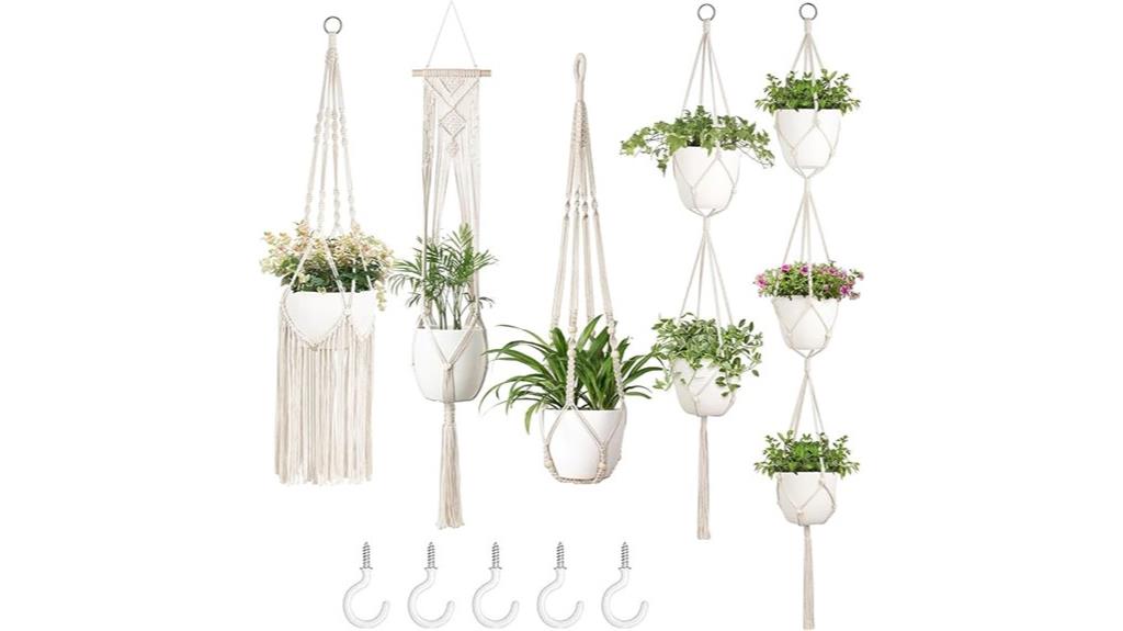 multiple indoor plant hangers