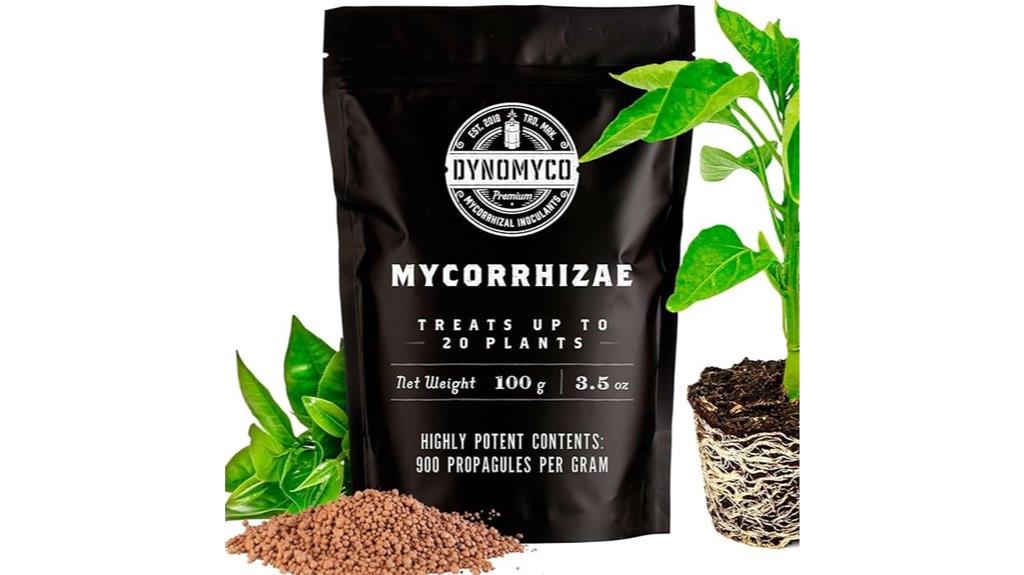 mycorrhizal fungus plant inoculant