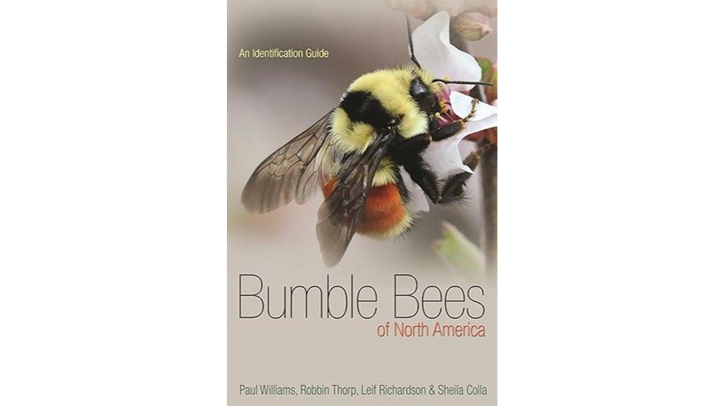 north american bumble bee identification
