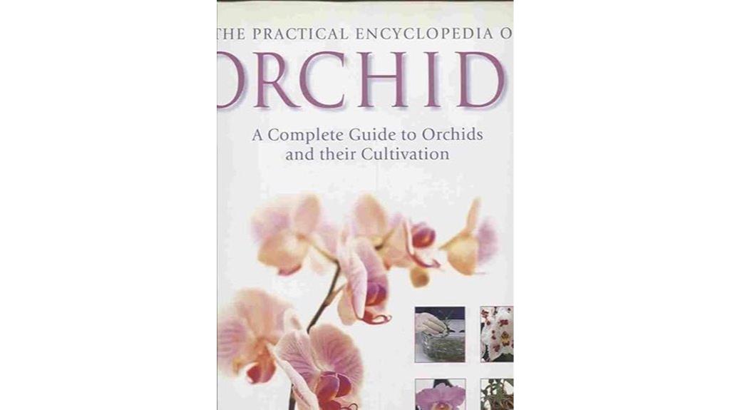 orchid cultivation and care
