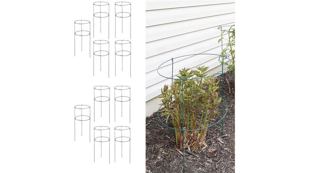peony plant support pack