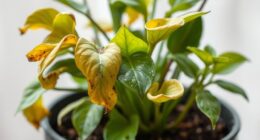 plant health diagnosis guide