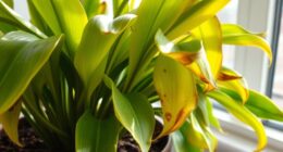 plant health diagnostic guide